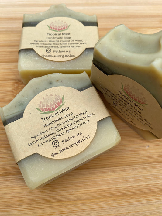 Tropical Mint Soap